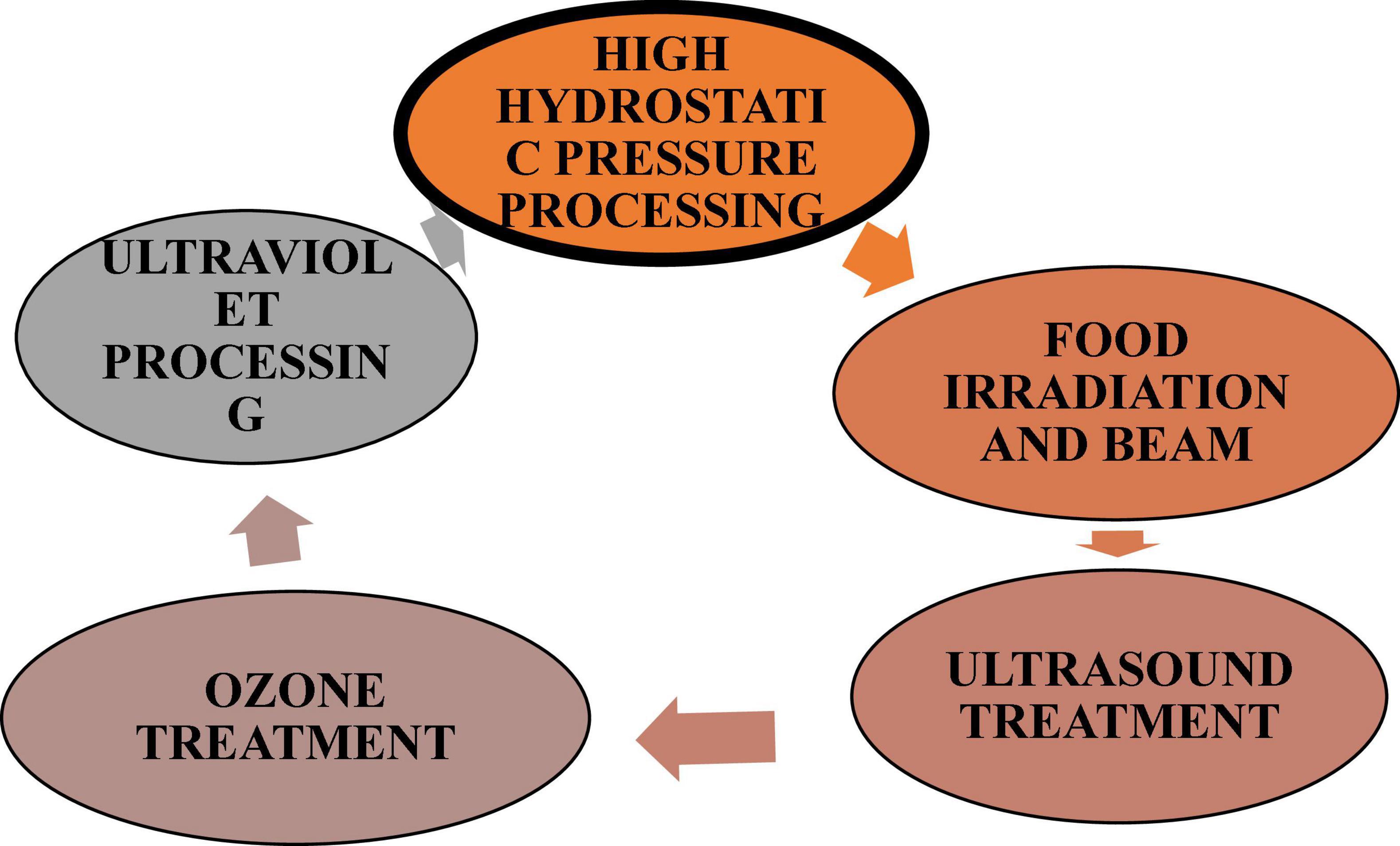 Dynamic alterations in protein, sensory, chemical, and oxidative properties occurring in meat during thermal and non-thermal processing techniques: A comprehensive review